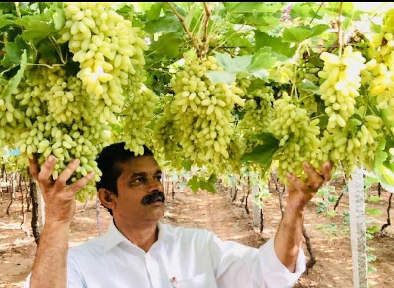 File:Mekala Shiva Shankar Reddy4.jpg